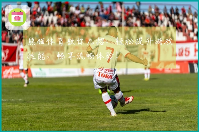 熊猫体育教你几招，轻松提升游戏性能，畅享流畅体验！
