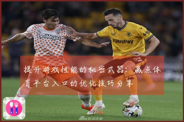 提升游戏性能的秘密武器：赢点体育平台入口的优化技巧分享