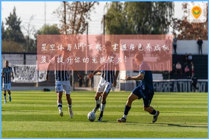 星空体育APP下载：掌握角色养成秘笈，提升你的竞技实力！
